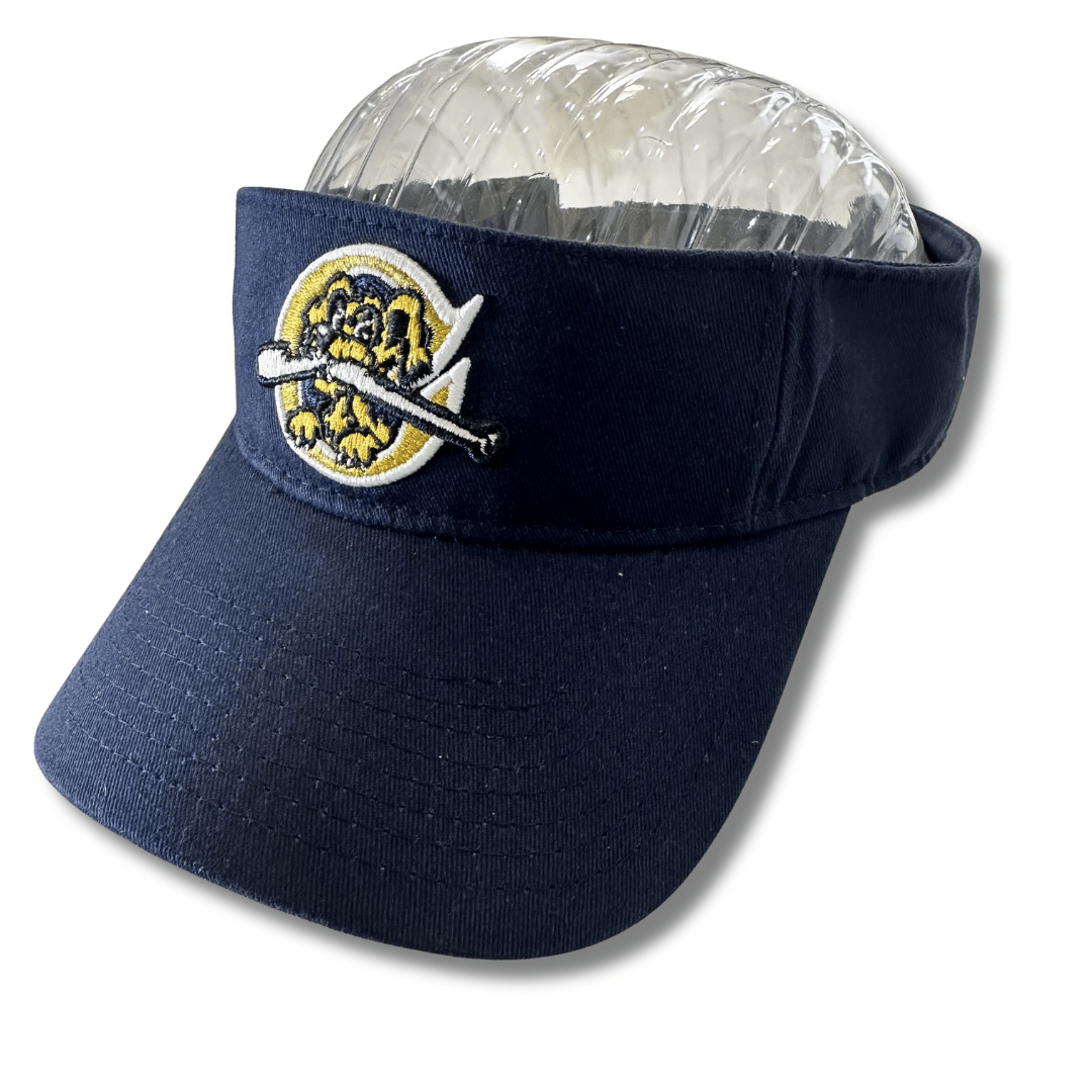 MiLB Charleston Riverdogs Authentic Adjustable Visor - CMD Sports