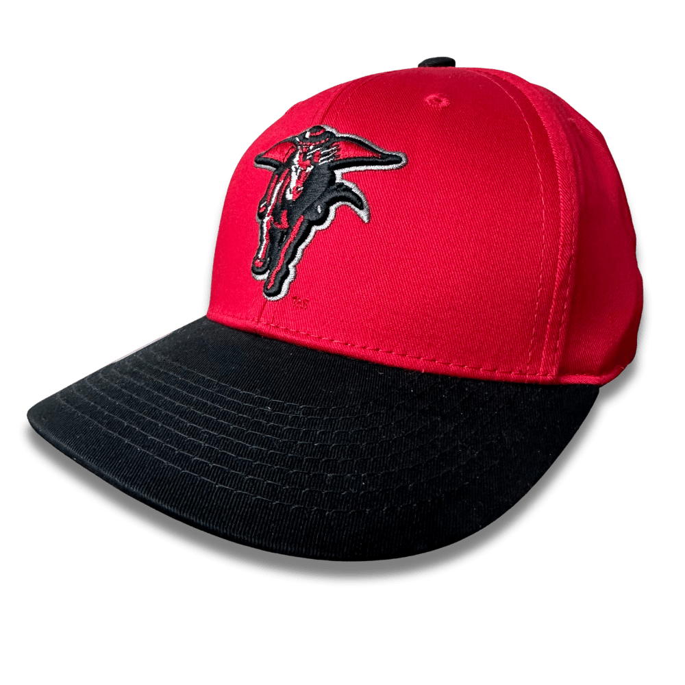 NCAA Texas Tech Red Raiders Game Day Adjustable Hat - CMD Sports