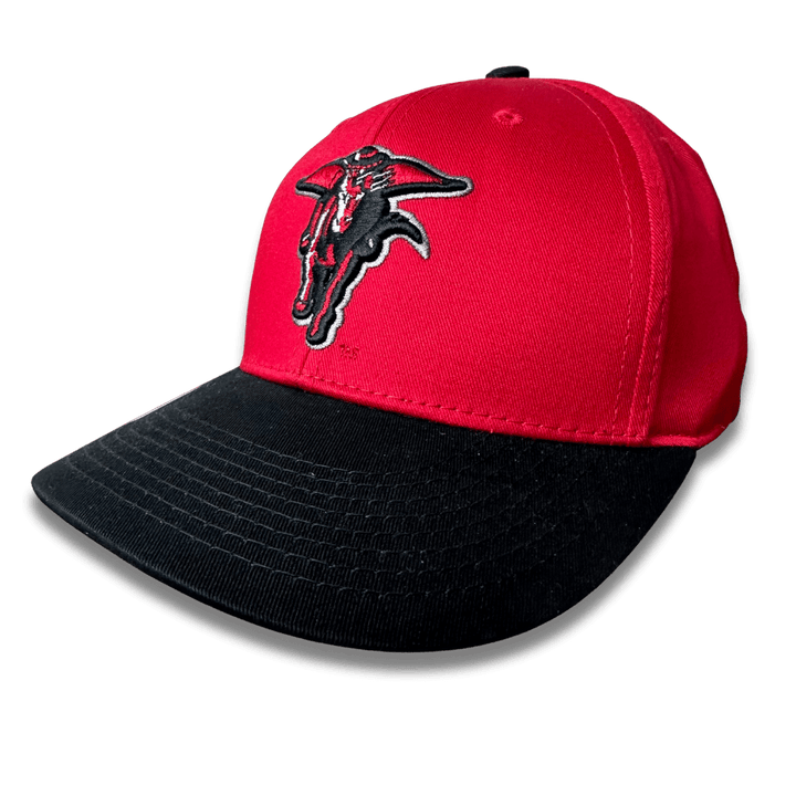 NCAA Texas Tech Red Raiders Game Day Adjustable Hat - CMD Sports