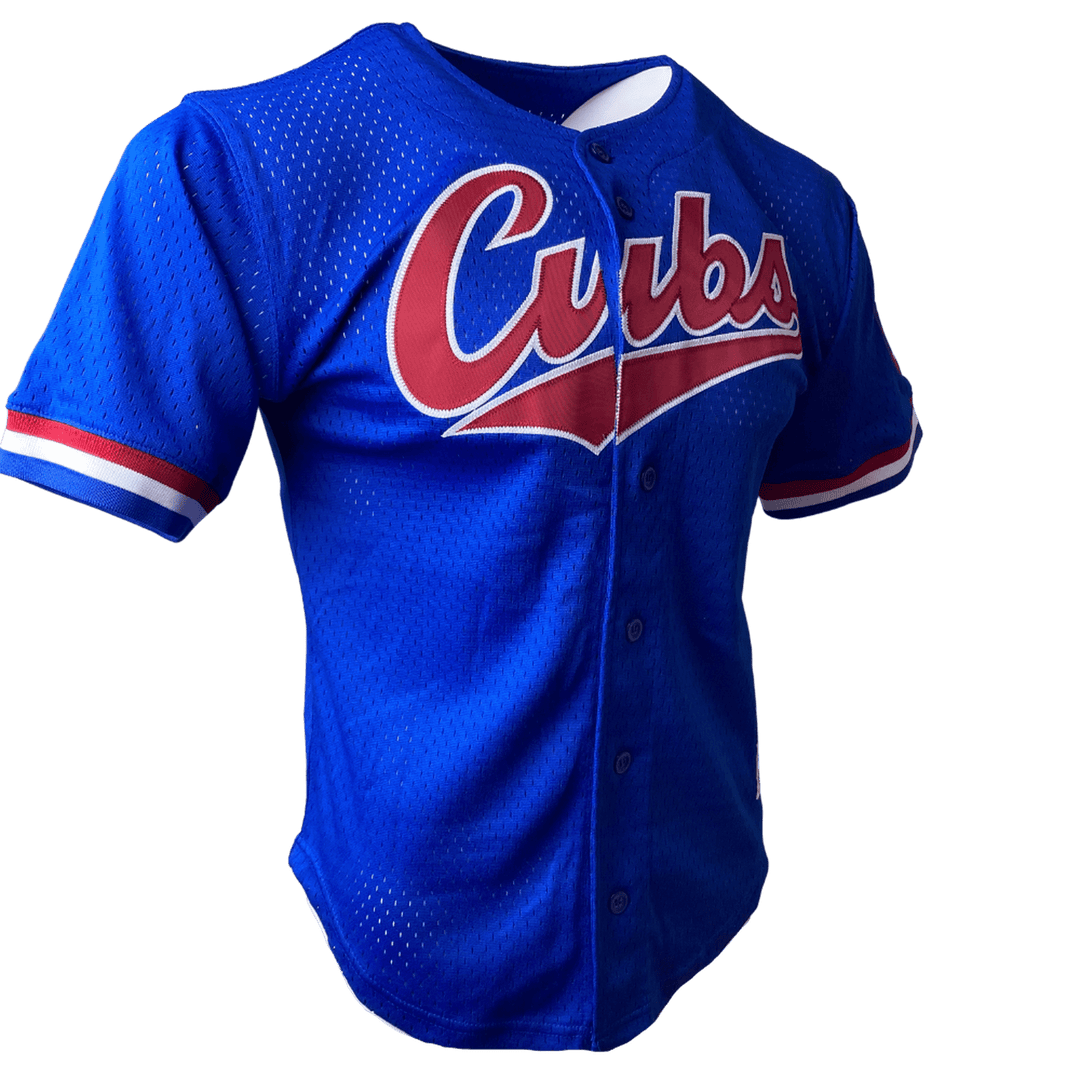 Ryne sandberg jersey online