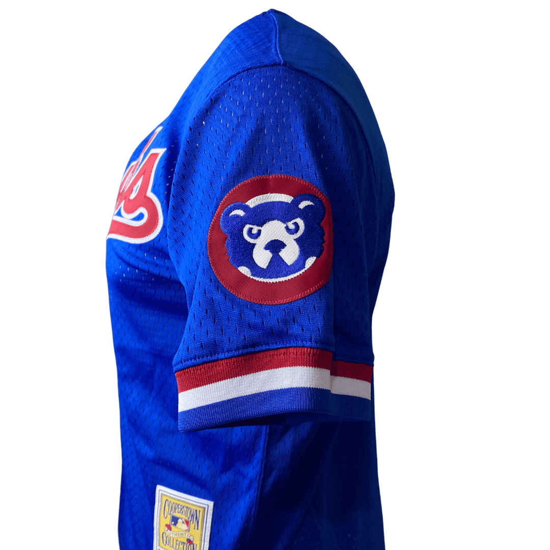 Youth Chicago Cubs Ryne Sandberg Mitchell & Ness Royal Cooperstown Collection Mesh Button-Up Jersey - CMD Sports
